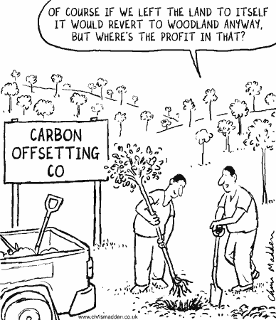 carbon offset carbon offset