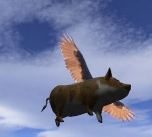 flying pig