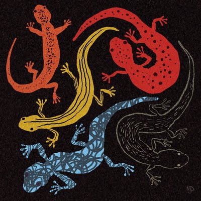 salamanders