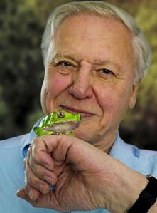 David Attenborough