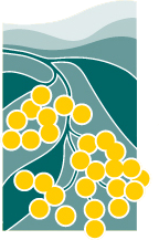 ESA 2010 logo