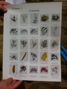 Photo 22-09-11 11 02 46