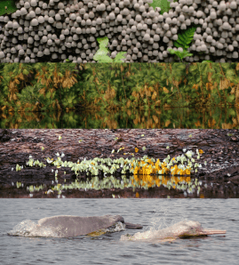 CB Photo MaladieOfNumbers