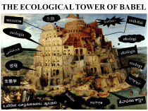The Tower of Babel by Pieter Bruegel the Elder (1563)