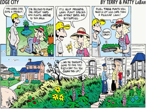 © Terry & Patty LaBan