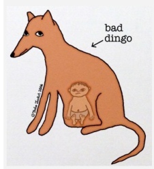 bad dingo
