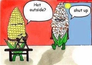 Beating-the-Heat-Without-Power