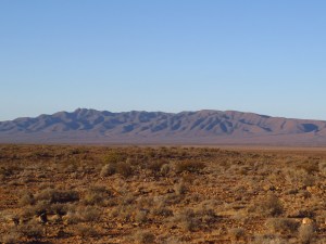 Looking east toward the northern Flinders Ranges from Ediacara Conservation Park. © CJA Bradshaw