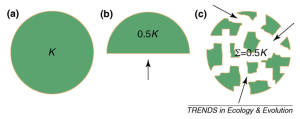 Figure 2 from Brook et al. (2008): Synergies among threatening processes relative to habitat loss and fragmentation. a) A large population within unmodified, contiguous habitat occupies all available niches so that long-term abundance fluctuates near full carrying capacity (K). b) When habitat is reduced (e.g. 50 % area loss), total abundance declines accordingly. c) However, this simple habitat-abundance relationship is complicated by the spatial configuration of habitat loss. In this example, all remaining fragmented subpopulations might fall below their minimum viable population (MVP) sizes even though total abundance is the same proportion of K as in panel B. As such, limited connectivity between subpopulations implies much greater extinction risk than that predicted for the same habitat loss in less fragmented landscapes. Further synergies (positive feedbacks among threatening processes; black arrows) might accompany high fragmentation, such as enhanced penetration of predators, invasive species or wildfire, micro-habitat edge effects, and reduced resistance to drought with climate change.
