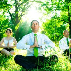 business-people-forest-sq