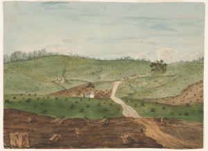 Clearing for Agriculture in Early Settlement (Anon.). Courtesy Mitchell Library, State Library NSW