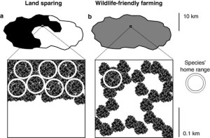 Unfortunately, it ain't this simple (from doi:10.1016/j.foodpol.2010.11.008)
