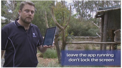 great-koala-count-2-university-of-south-australia21