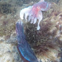 DCIM100GOPROGOPR0518.