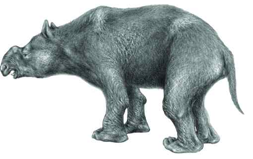 diprotodon
