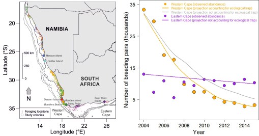 CB_JackassPenguinEcologicalFigures