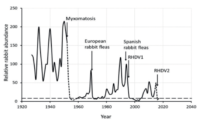 relative rabbit abundance South Australia