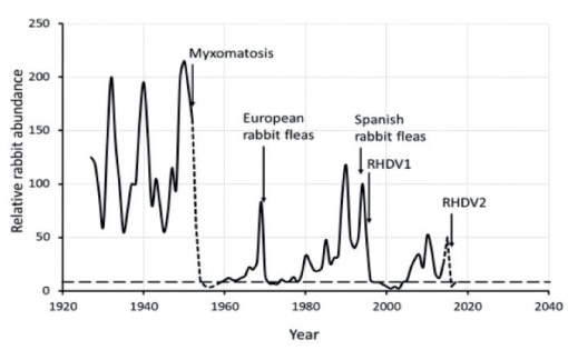 relative rabbit abundance South Australia