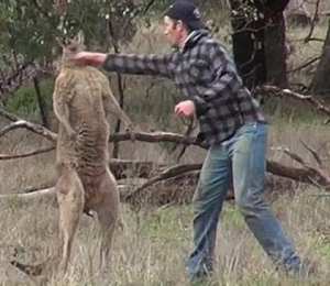 how we treat our environment