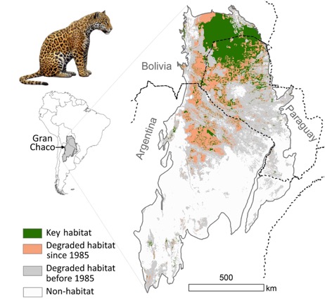 Habitat loss
