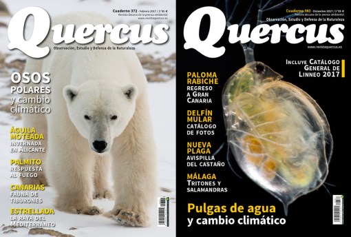 CB_ScientificBlogging_nov2018