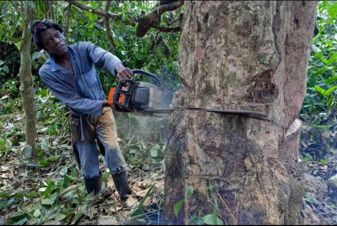 Increasing human population density drives environmental degradation in ...