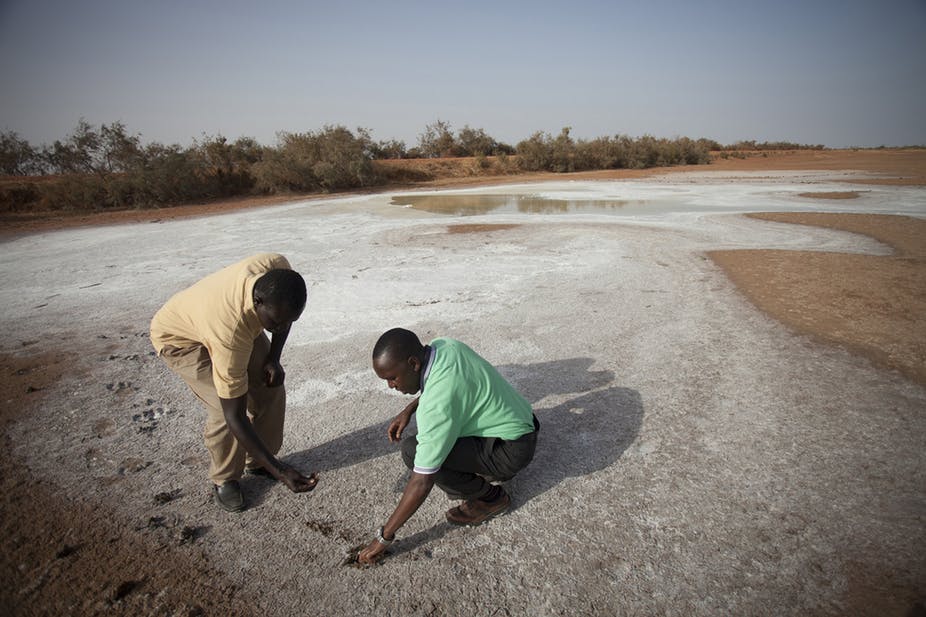 Increasing human population density drives environmental degradation in ...