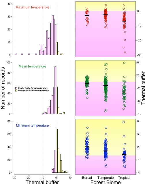 55_ForestBufferingHR