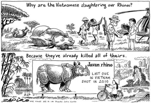 © Zapiro