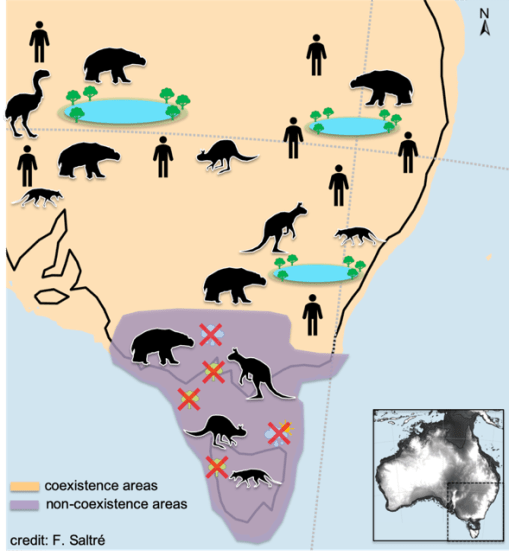 coexistence-megafauna