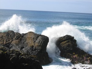 Bradshaw-Waves breaking on rocks Macquarie Island
