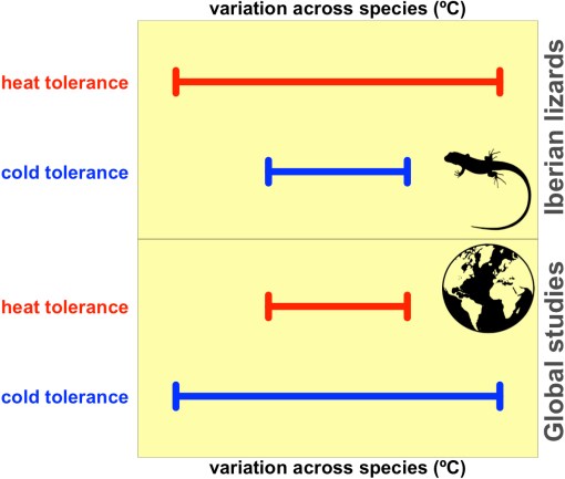 CB_FunctionalEcology_jan2020_Figure