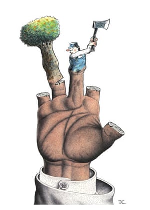 © Tawan Chuntraskawvong