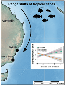 tropical fishes range shifts