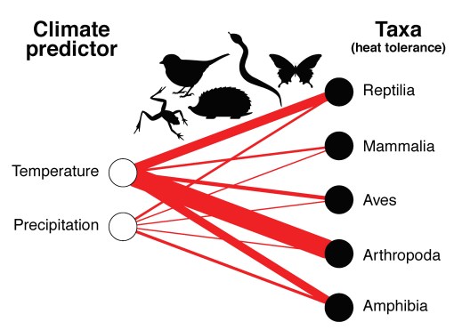 cb_BAAE_WaterLizardsNetwork