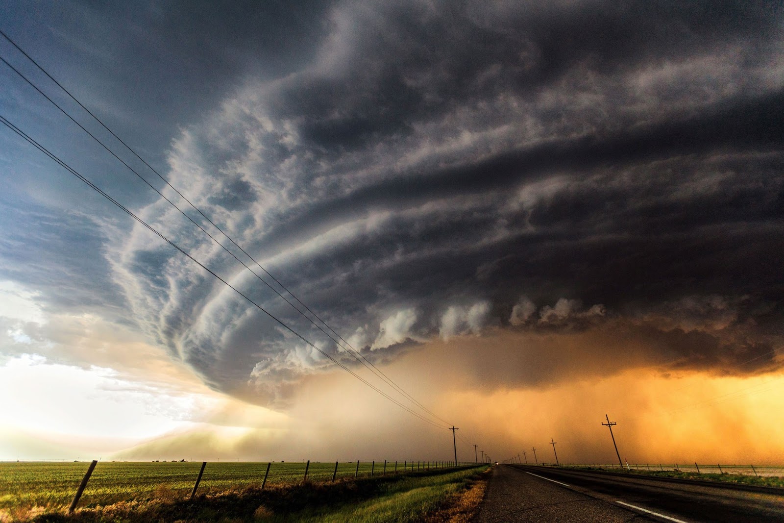 A perfect storm of global ineptitude | ConservationBytes.com
