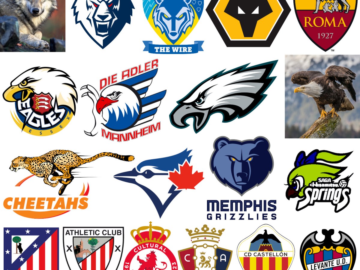 Protecting the biodiversity brand through&nbsp;sport